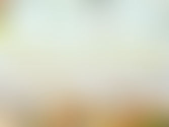 SPRING INTO HOPE THIS HOLY SEASON