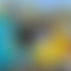 Week 6, Wingate Wars