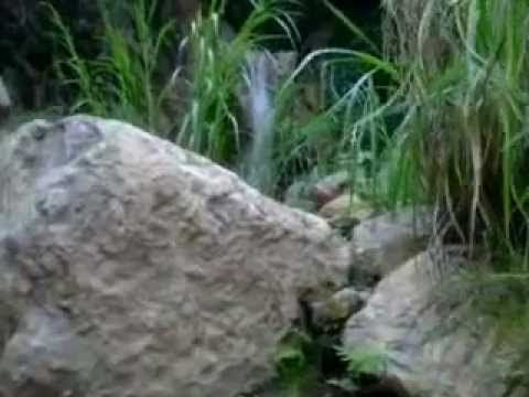 CASERÍOS Y TURISMO EN CHOROPAMPA