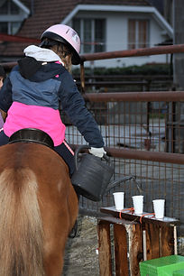 IMG_4854.jpg