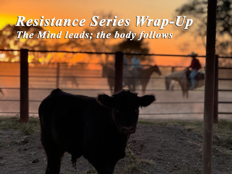 Understanding Resistance in Horses by D/C - Series Wrap-Up
