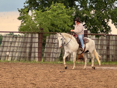 How to Get Better Results With Your Horse