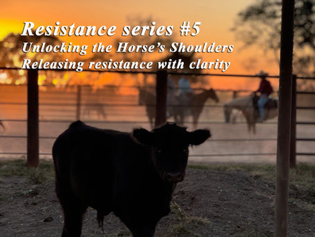 Understanding Resistance in Horses by D/C - Resistance Series #5