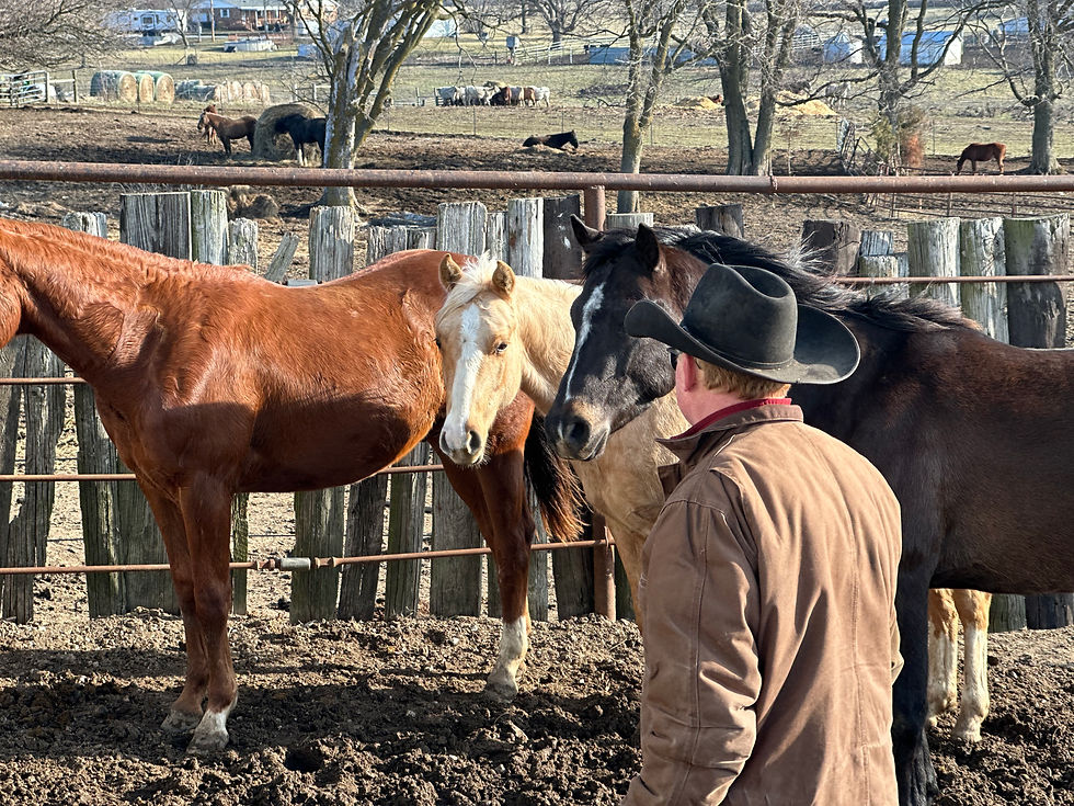 Horse-man-ship Mentality Dennis Cappel