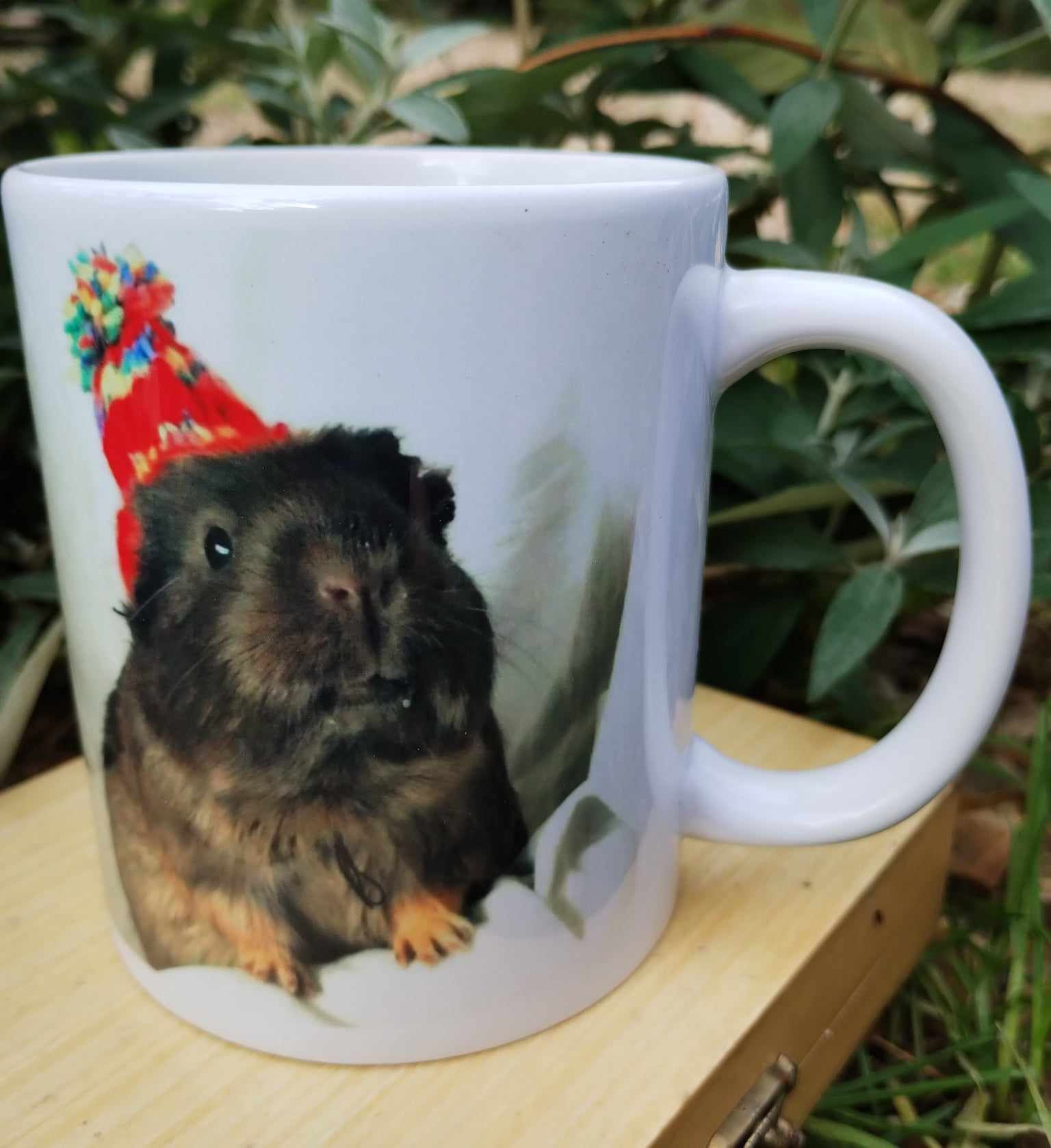 "Bobble hat" Brown pig