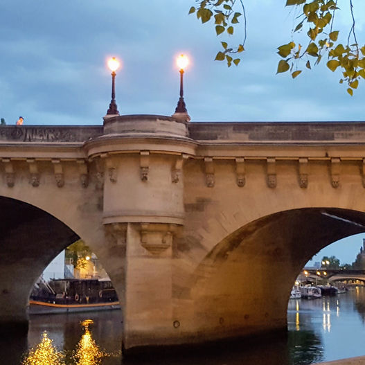 Lovelocks on the Seine
