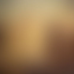 Jerusalem, the greatest town in America