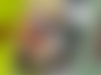 Atenção! Período chuvoso aumenta aparecimento de animais peçonhentos.