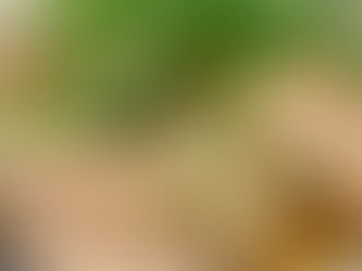 隠れ家ひろとも☆大阪府岸和田市にある「居酒屋」さん♪