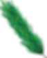 Pine.png