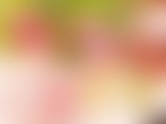 えぼし☆大阪府泉佐野市にある「居酒屋」さん♪