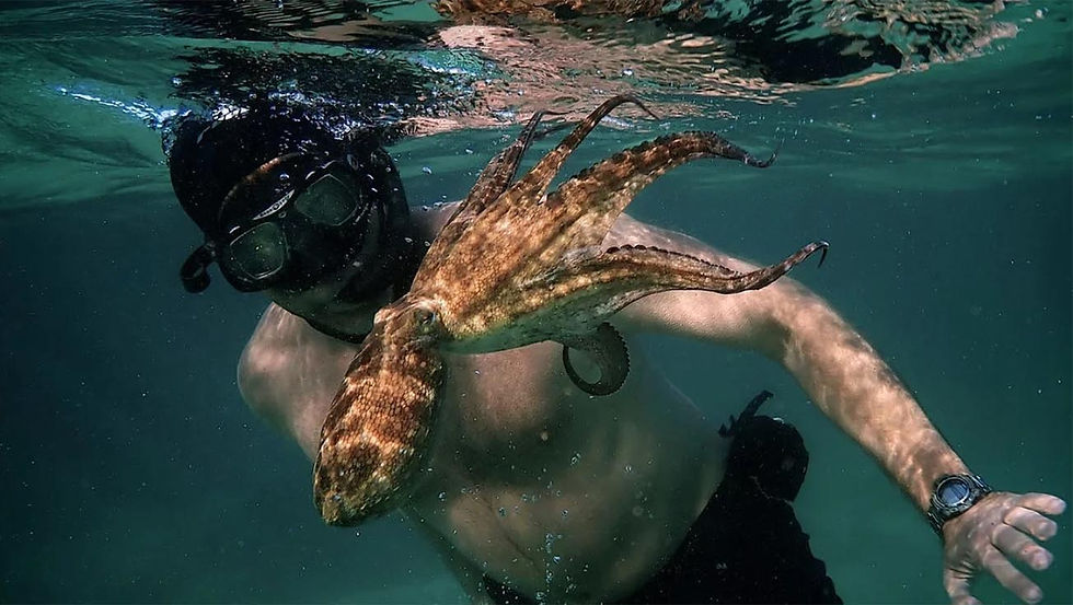 Mergulhador homem usando máscara de snorkel preta observa de perto um polvo marrom com os tentáculos estendidos em águas cristalinas.
