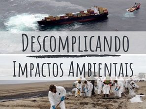 Impactos ambientais nos ecossistemas marinhos