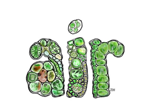 The air that you breathe