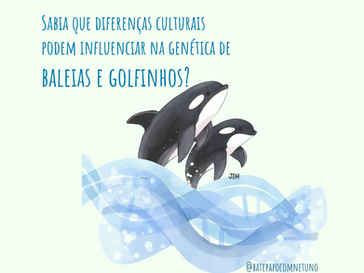 Genética, cultura e comportamento de cetáceos