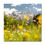 Miniaturbild: Blumenwiese vor Karwendel