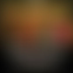 The OSB 10-tet performs a joint concert with Bravado