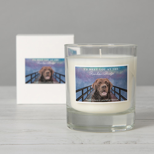 Rainbow Bridge Candle “Edward” TeamEdwardLabRescue