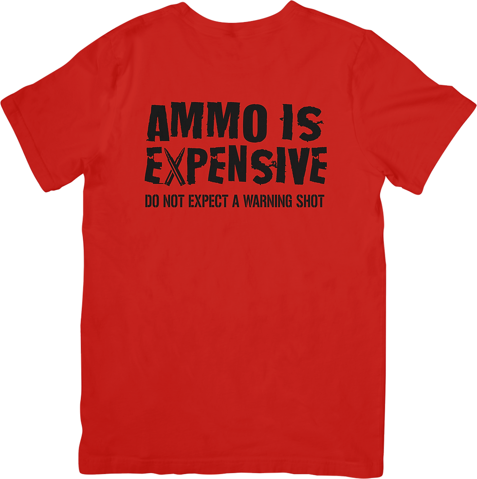 Thumbnail: Ammo is Expensive