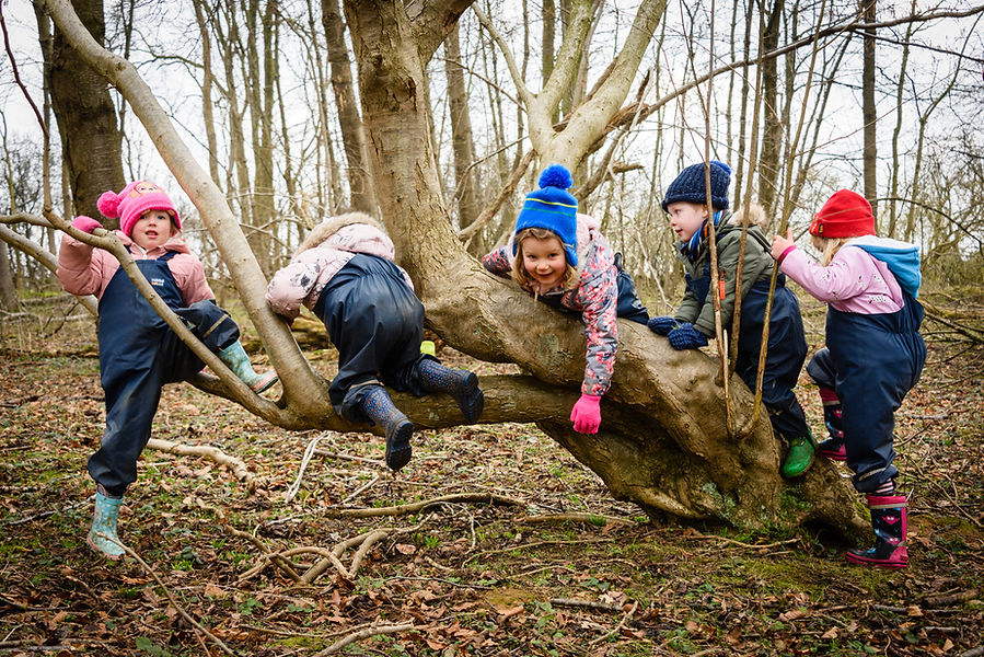 LL_ForestSchool_ElliDeanPhoto_123.jpeg