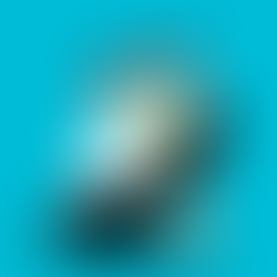 Lettre ouverte d’un médecin à un chef d’établissement.