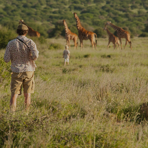 SafariScenes-108_edited.jpg