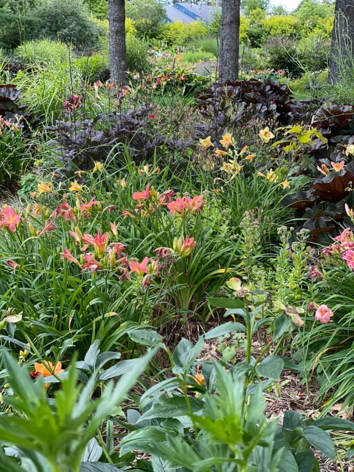 PUBLICATIONS Jardins Vivaces Qc