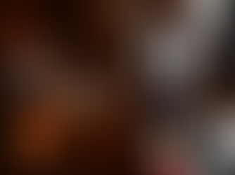 Our 2026 Special Edition Themes are here!!!