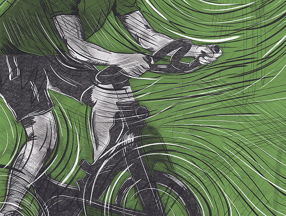 St Louis Wallcovering-001 copy 2.jpg