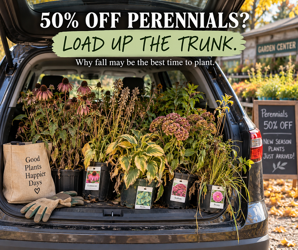 Fall Planting