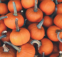 Pumpkins