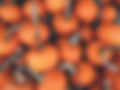 Pumpkins