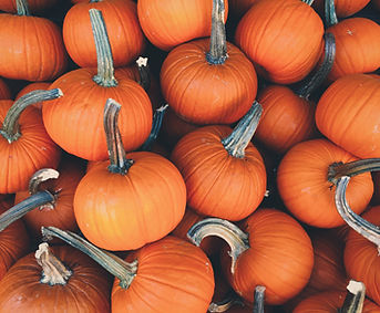 Pumpkins 
