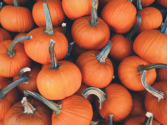 Orange Pumpkins