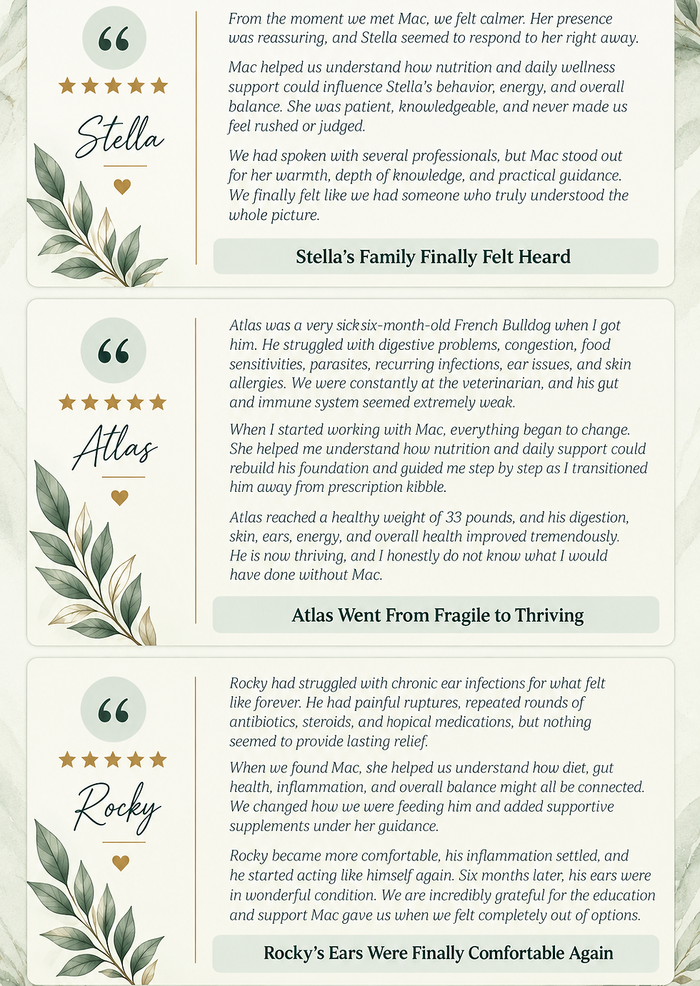 ChatGPT Image Sep 13, 2026, 11_55_14 AM.png