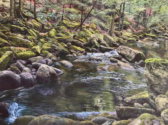 Mossy Hillside - Jeff Kern