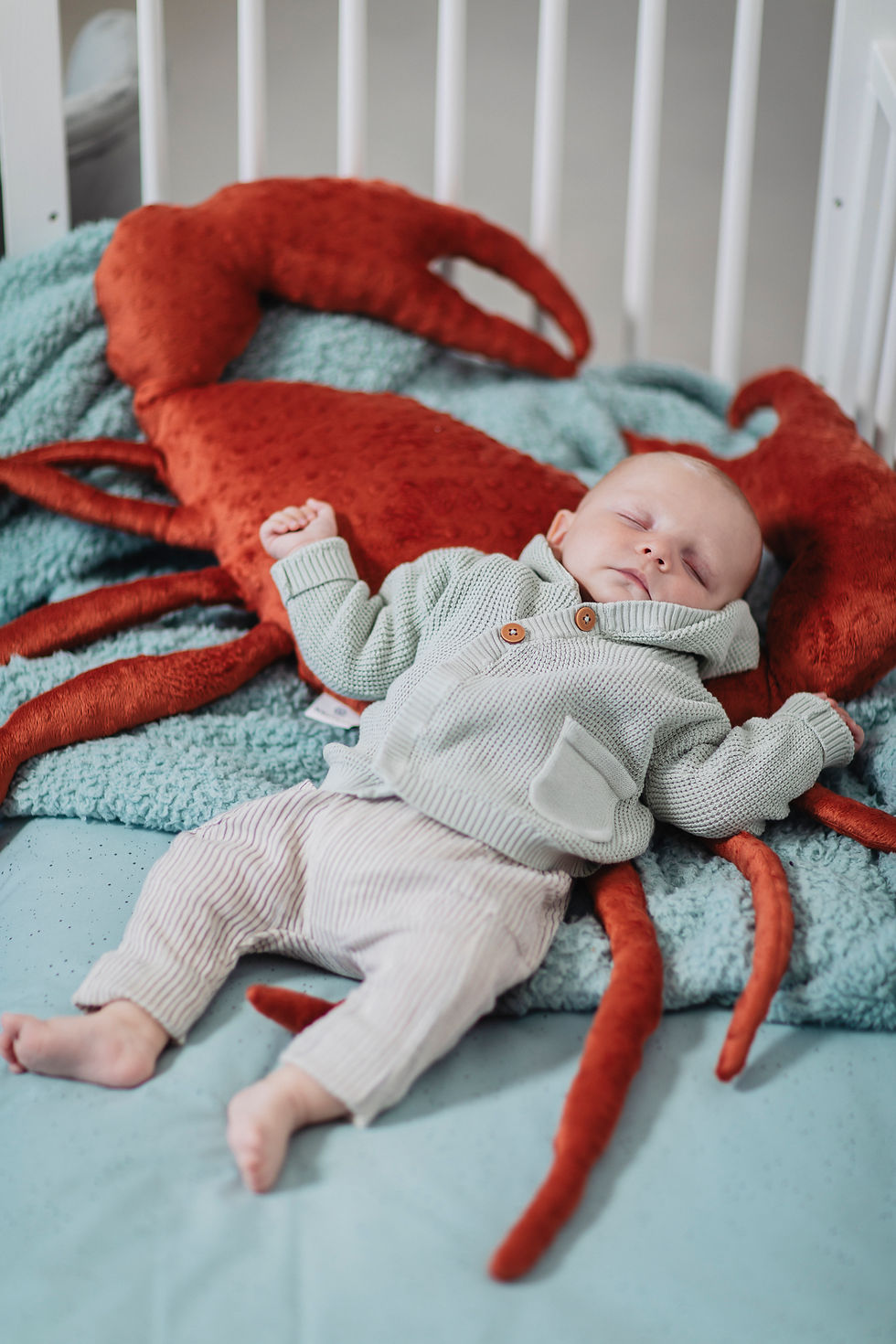 Miniatura: KRAB - Rust