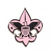 Pink Pin.jpg