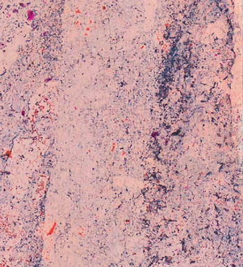 session maud-585.jpg