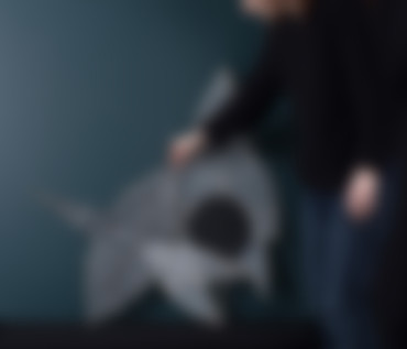 jarnoux pierre-179-2 recadré flou.jpg