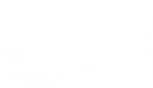 rb_25372 (2).png