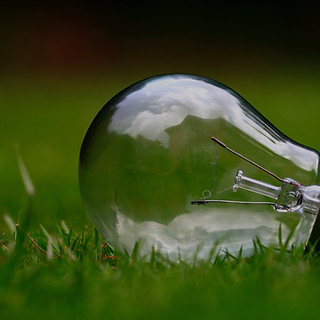 Light bulb on green grass_edited.jpg