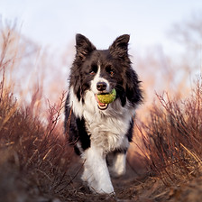 StevieWoburn_FR_4.jpg