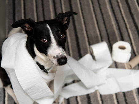 Tips to Ease Separation