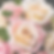 beige and pink roses in a bridal bouquet.png