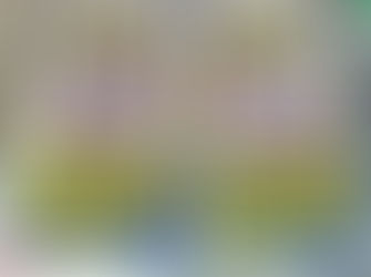 Servidores paralisam o PSM Mário Pinotti e denunciam privatização da gestão Igor Normando