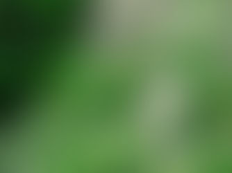 Indígena marubo é sequestrado e torturado no Vale do Javari; caso expõe avanço de grupos armados e pressão por ação federal