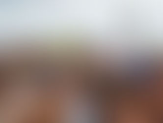 QUANDO O ESTADO FALHA: MULHERES INDÍGENAS, VIOLÊNCIA INSTITUCIONAL E O DOSSIÊ QUE ROMPE O SILÊNCIO