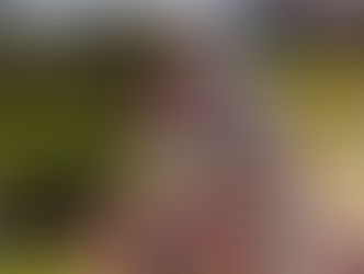 Acampamento Terra Livre 2026 e a luta contínua por reconhecimento