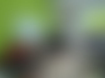 ENTRE A PAUSA E A LUTA: NOTAS DE UMA TRAJETÓRIA POLÍTICA EM REORGANIZAÇÃO